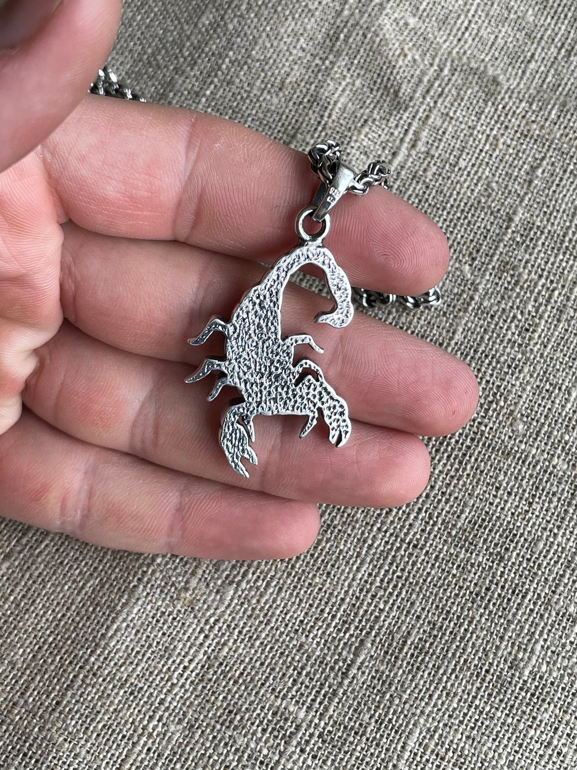 Silver Scorpion Pendant with Chain, Pendant with Necklace