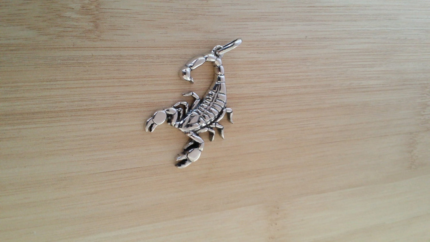 Silver Scorpion Pendant with Chain, Pendant with Necklace